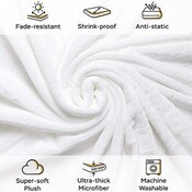 Wholesale - 50"x60" SUNSHINE WHITE THROW BLANKET, UPC: 860004288404